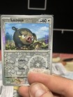 Lechonk