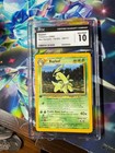 Bayleef