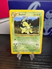 Bayleef