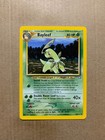Bayleef