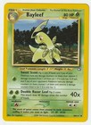 Bayleef