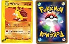 Sandslash