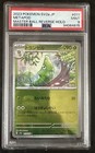 Metapod