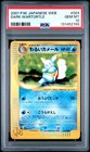 Dark Wartortle