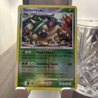Torterra