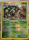 Torterra
