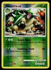 Torterra