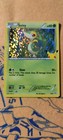 Snivy