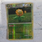 Sunflora