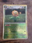 Sunflora