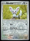 Minccino