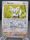 Minccino