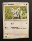 Minccino