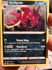 Scolipede