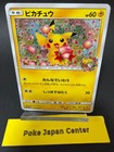 Pikachu [Pokemon Center 20th Anniversary Campaign] 