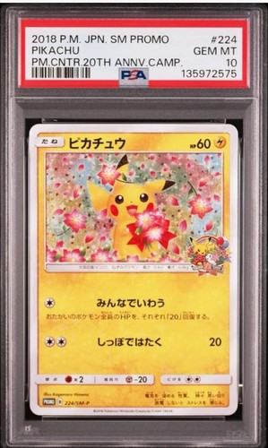 Pikachu [Pokemon Center 20th Anniversary Campaign] 