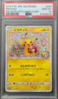 Pikachu [Pokemon Center 20th Anniversary Campaign] 