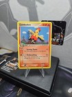 Combusken