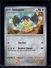 Helioptile