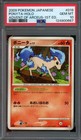 Ponyta