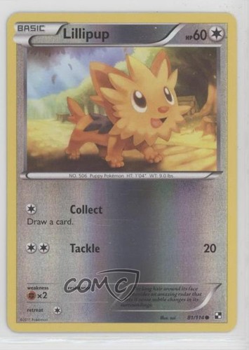 Lillipup