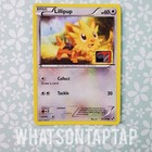 Lillipup