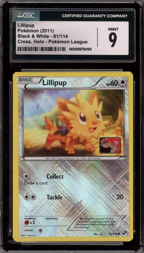 Lillipup