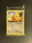 Lillipup