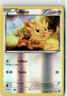 Lillipup