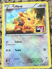 Lillipup