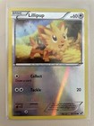 Lillipup
