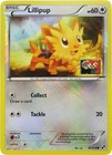 Lillipup
