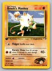 Brock's Mankey