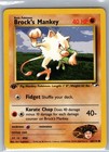 Brock's Mankey