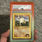 Brock's Mankey
