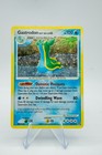 Gastrodon East Sea