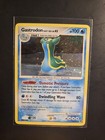 Gastrodon East Sea