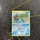 Gastrodon East Sea