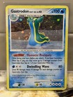 Gastrodon East Sea