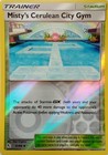 Misty's Cerulean City Gym