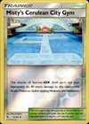 Misty's Cerulean City Gym