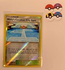 Misty's Cerulean City Gym