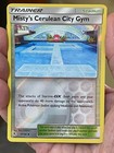 Misty's Cerulean City Gym