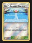 Misty's Cerulean City Gym