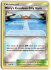 Misty's Cerulean City Gym