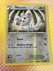 Minccino