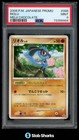 Kangaskhan 