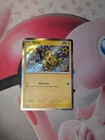 Shinx