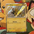 Shinx