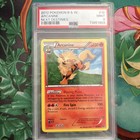 Arcanine